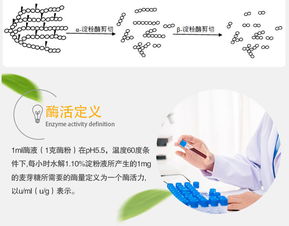 夏盛 β-淀粉酶液體70萬 食品添加劑廠家直銷與互聯(lián)網(wǎng)銷售新機遇